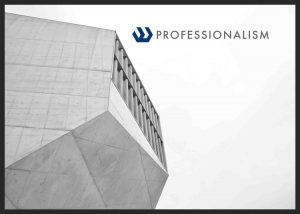 Professionalism - Professional Engineering Services